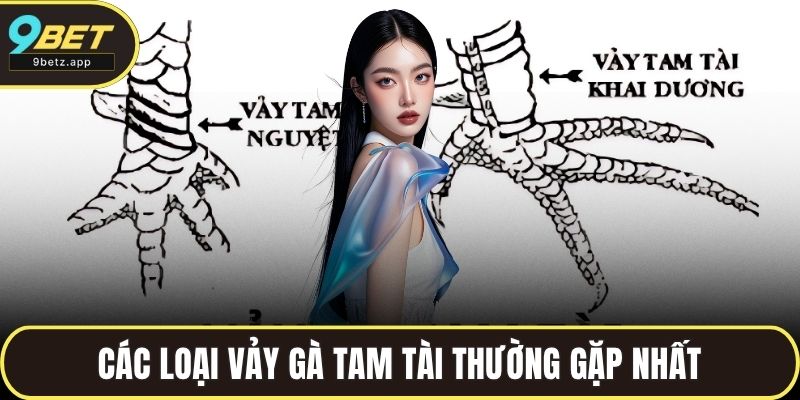 Các loại vảy gà tam tài thường gặp nhất