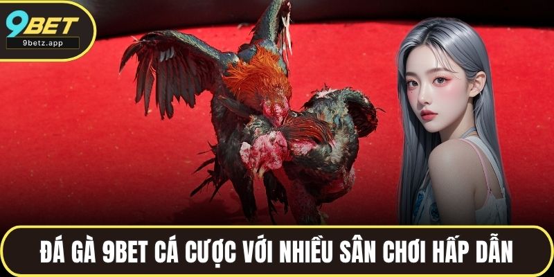Đá gà 9BET cá cược với nhiều sân chơi hấp dẫn