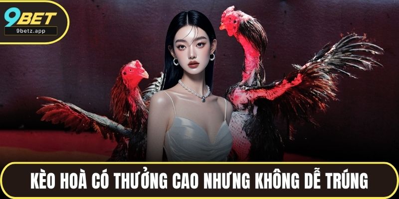 Kèo hoà có thưởng cao nhưng không dễ trúng trong đá gà