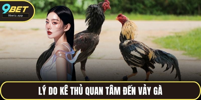 Lý do kê thủ quan tâm đến vảy gà