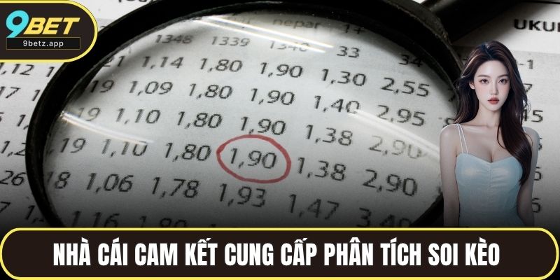 Nhà cái cam kết cung cấp phân tích soi kèo chuyên sâu