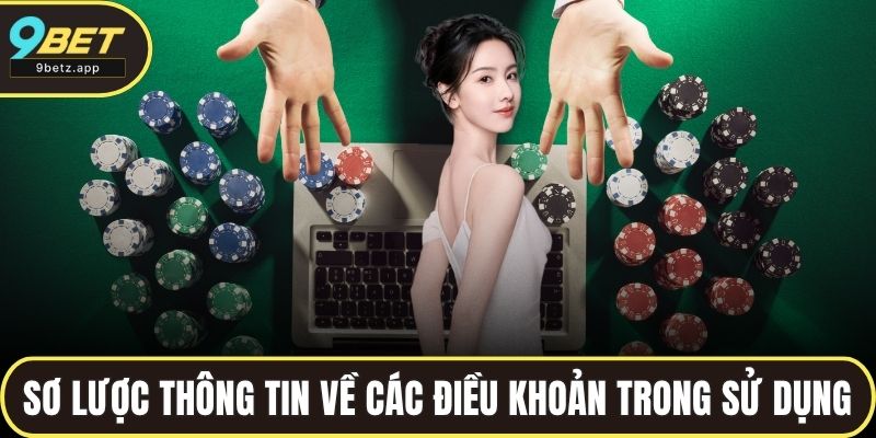 Sơ lược thông tin về các điều khoản trong sử dụng