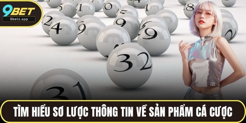 Tìm hiểu sơ lược thông tin về sản phẩm cá cược