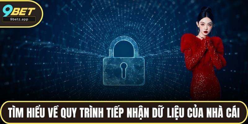 Tìm hiểu về quy trình tiếp nhận dữ liệu của nhà cái
